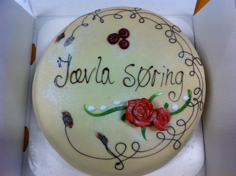 Jævla Søring kake.jpg