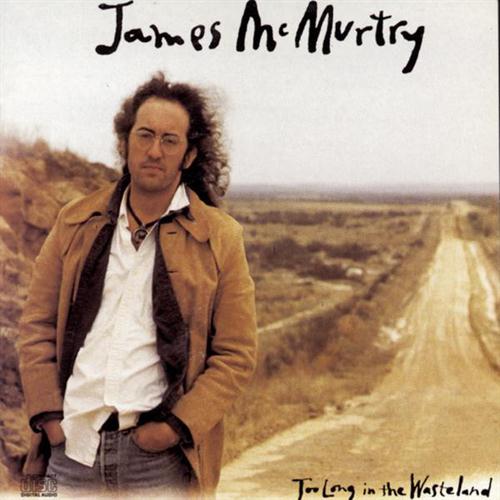 James_McMurtry_-_Too_Long_in_the_Wasteland.jpg