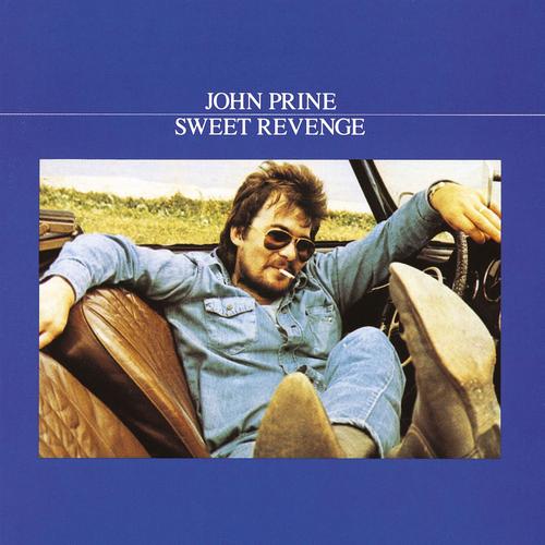 johnprinesweetrevenge.jpg