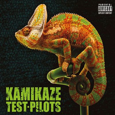 Kamikaze-Test-Pilots-Stealing-Chameleons-2017.jpg