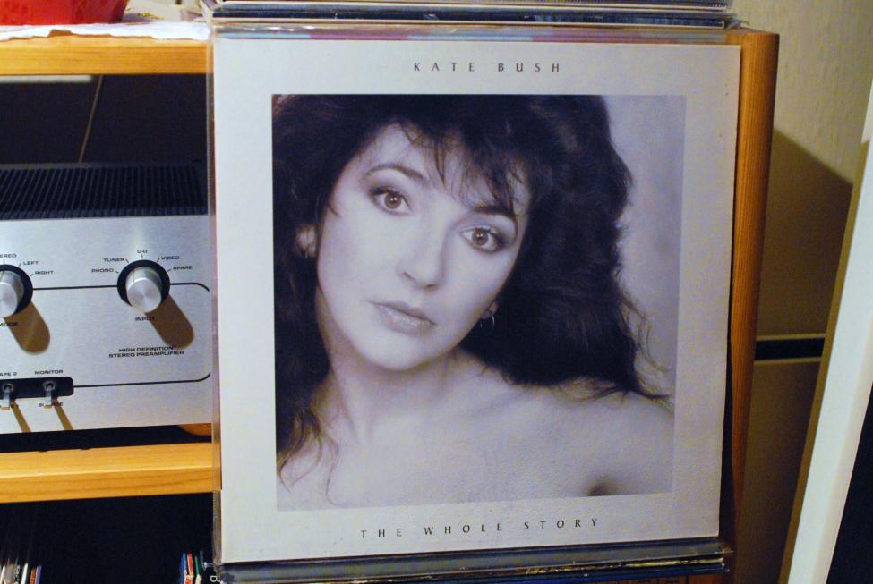 Kate bush.jpg