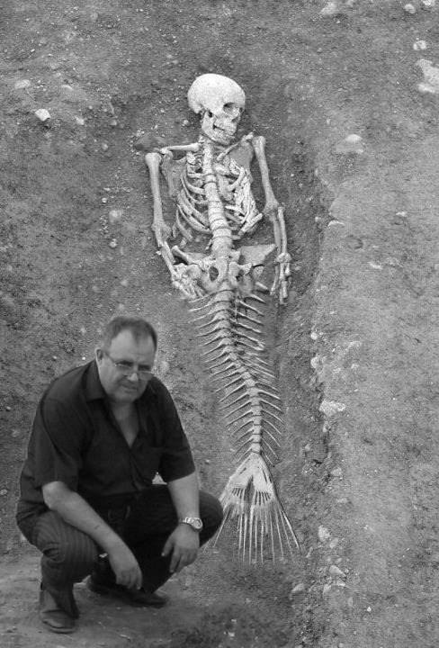 Mermaid skeleton.jpg