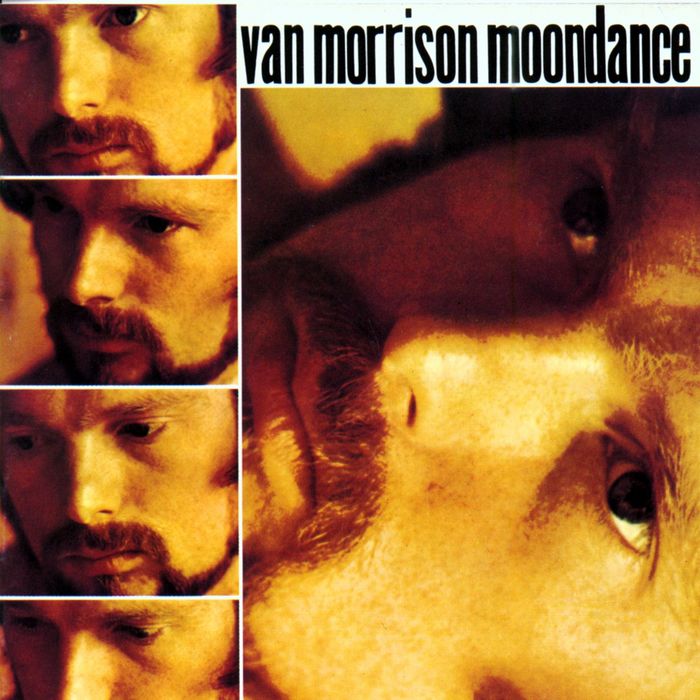 Morrison-Moondance.jpg