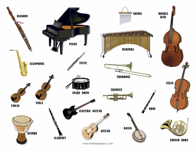 Musical-Instruments-The-Bird-Feed-1024x790.jpg