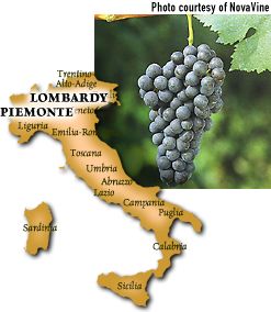 nebbiolo-gm.jpg