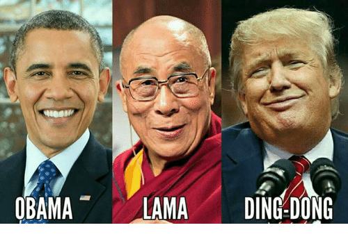 obama-lama-ding-dong-16245218.png