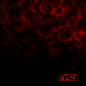 OSI_Blood_Cover.jpg