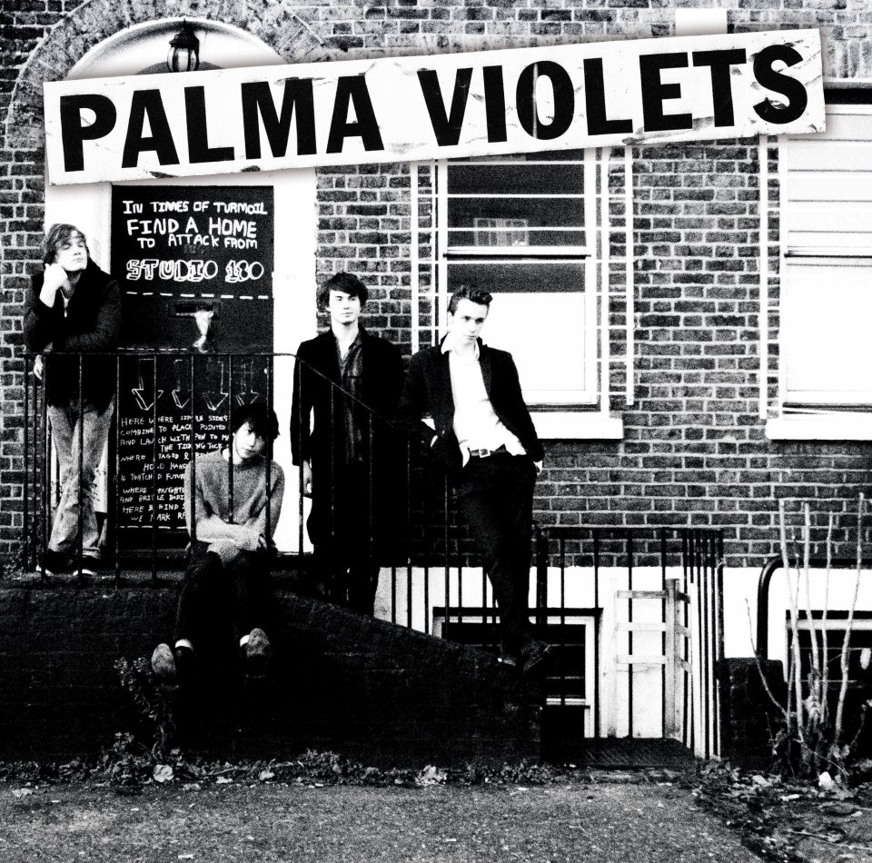 palma-violets.jpg