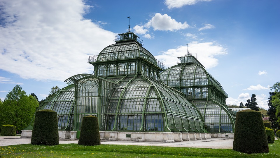 palmenhaus-740924_960_720.jpg