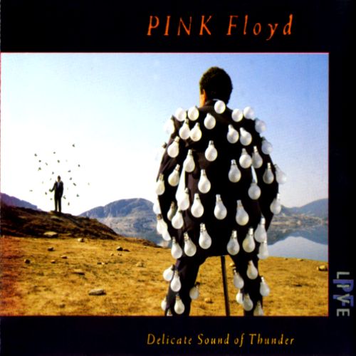 Pink Floyd-Delicat Sound Of Thunder.jpg