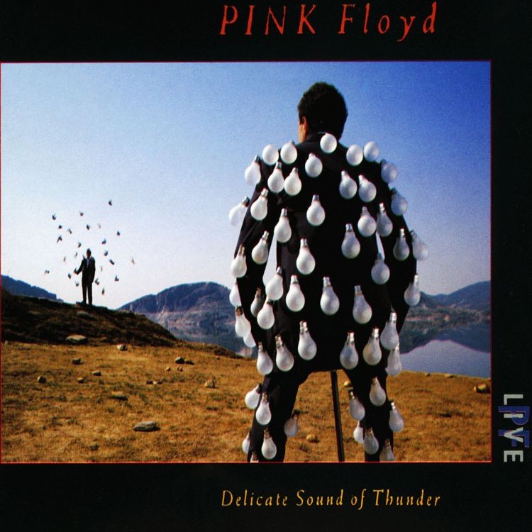 Pink Floyd - Delicate sound of Thunder.jpg