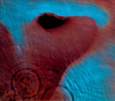 Pink Floyd - Meddle.jpg