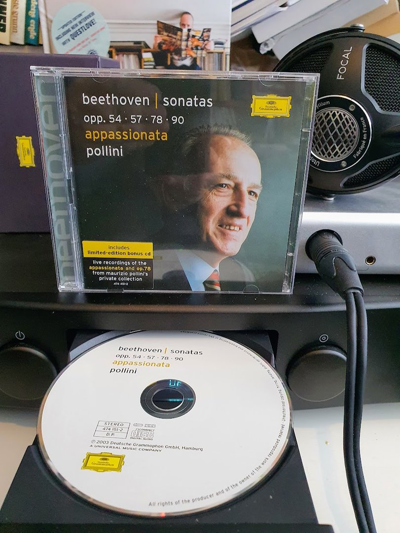pollini.jpg