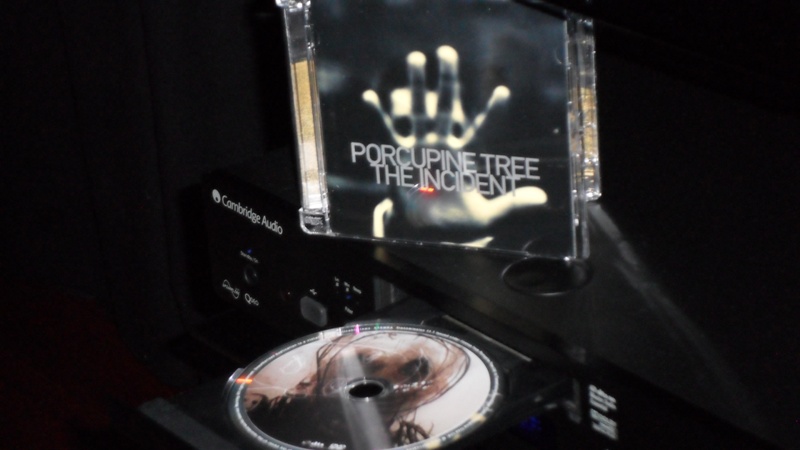 Porcupine tree (1).JPG