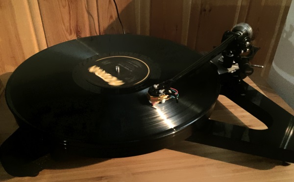 rega rp8.jpg