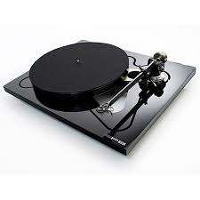 rega rp8.png