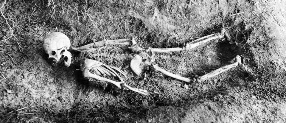 Remains-Excavated-at-Body-Farm-f157eb7.jpg