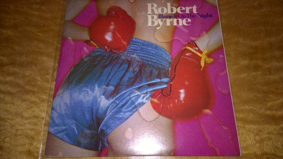 Robert Byrne-Blame It On The Night.jpg