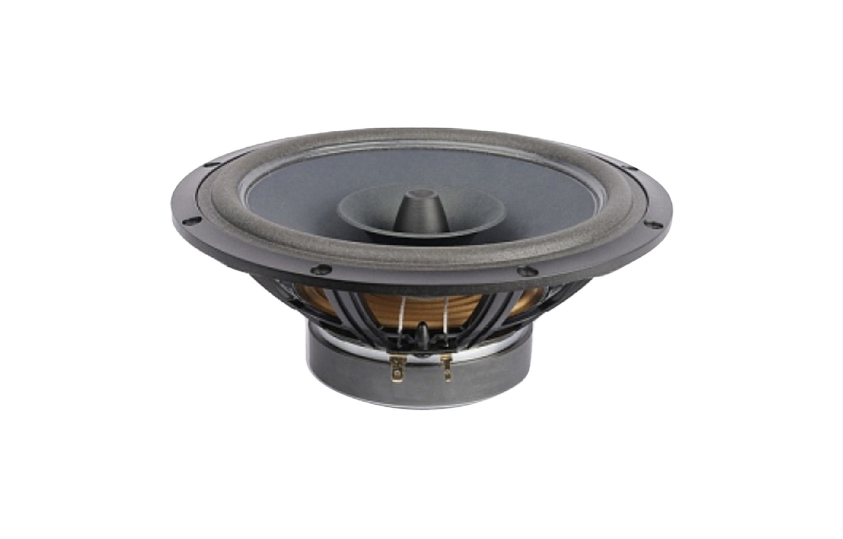 sb-acoustics-sb20frpc30-8-full-range-driver.jpg