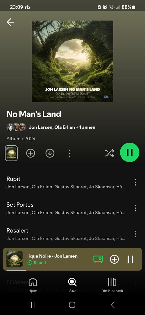 Screenshot_20241115_230921_Spotify.jpg