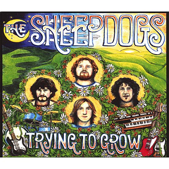 sheepdogs-trying-to-grow-import-1.jpg