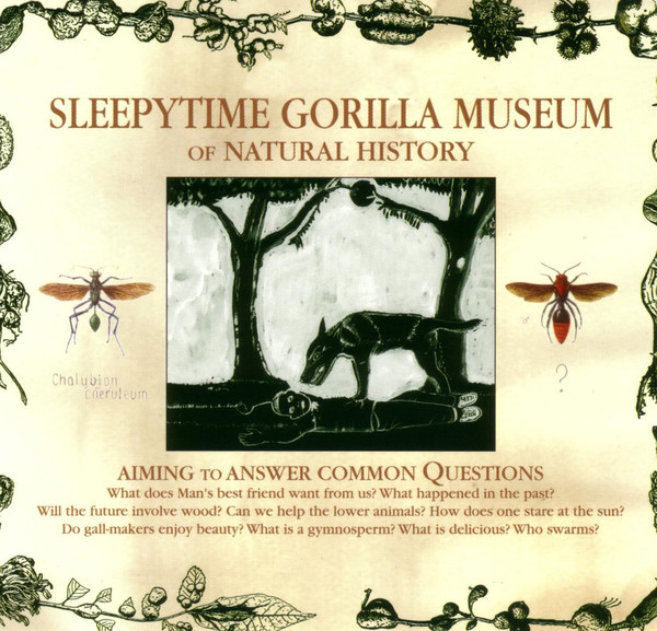 Sleepytime Gorilla Museum.jpg