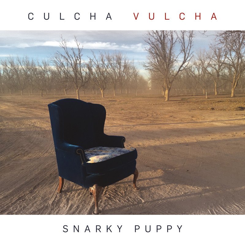 Snarky-Puppy-Culcha-Vulcha.jpg