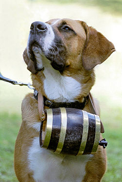 St_Bernard_with_barrel_alt[1].jpg