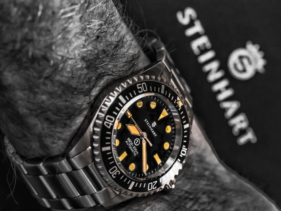 steinhart-1.jpg