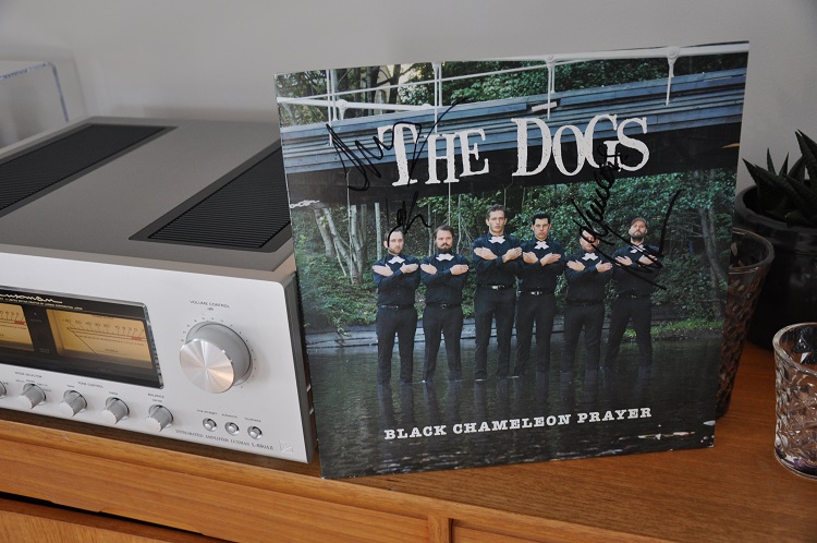 the dogs - black chameleon prayer.jpg