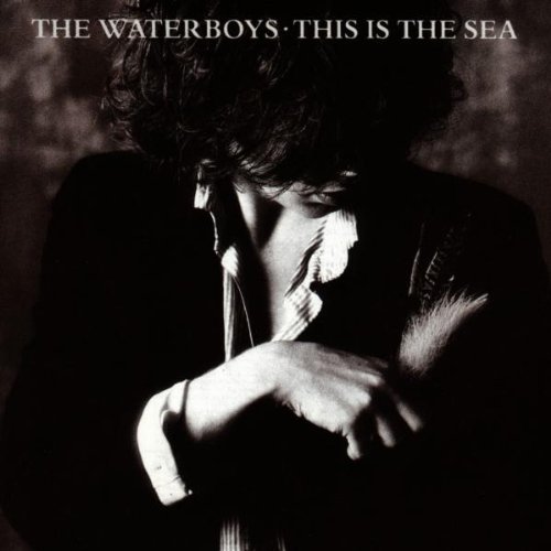 The Waterboys - This Is The Sea.jpg