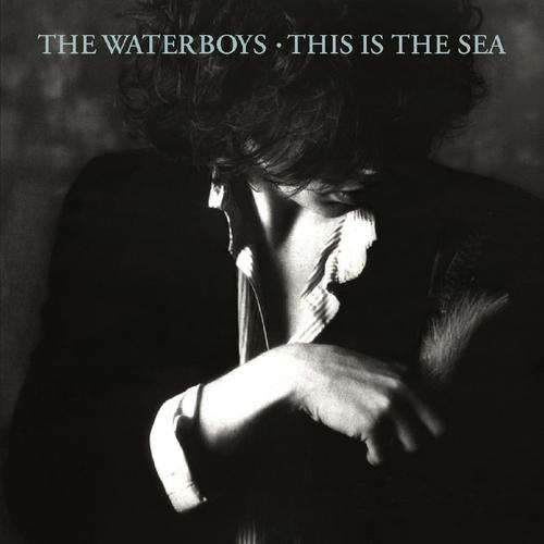 The Waterboys-This Is The Sea.jpg