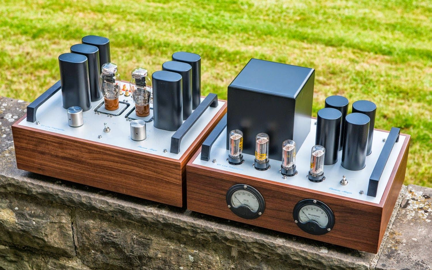 Thomas Mayer 10Y Preamplifier.png.jpeg