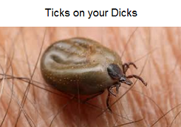 ticks.png