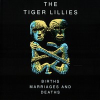 tiger lillies.jpg