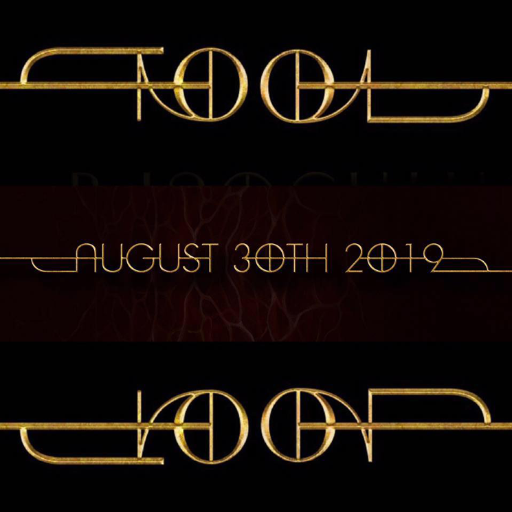 tool_new_logo_gold_2019.png