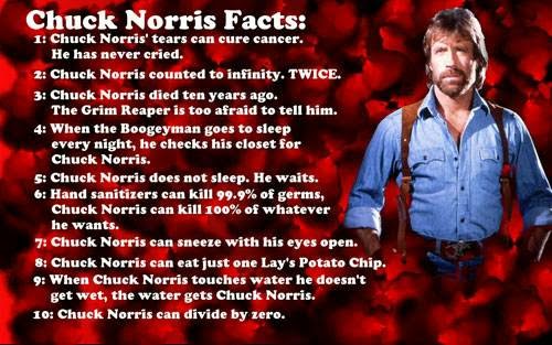 Top-18-Best-Chuck-Norris-Jokes-Pictures-7.jpg