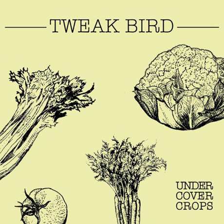 Tweak-Bird-Undercover-Crops-.jpg