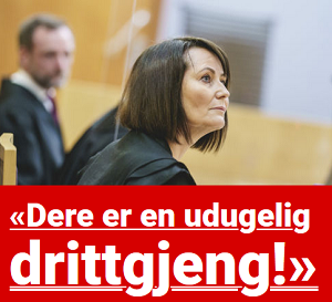 udugelig drittgjeng.png