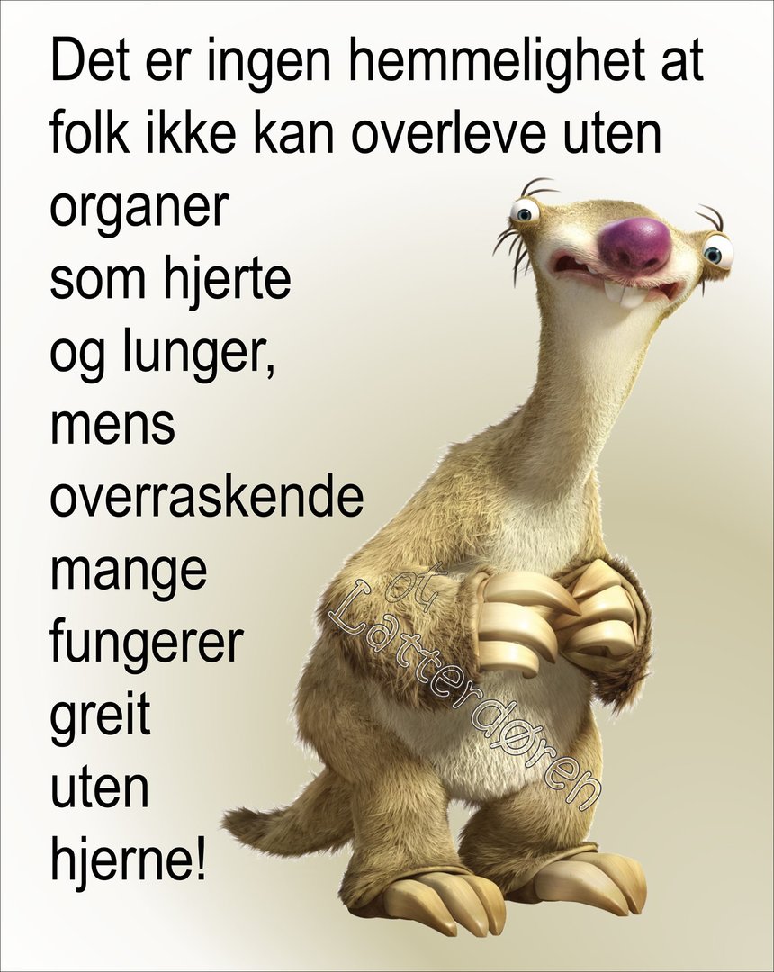 Uten Hjerne.jpg