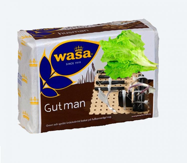 WASA Gutman cut.jpg