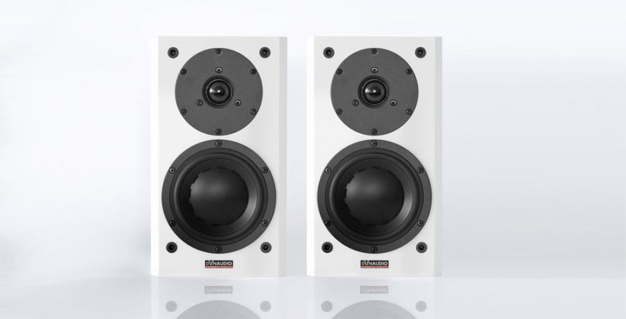 Dynaudio 110a best sale