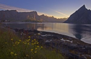 reine_lofoten.jpg