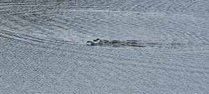20240815_101506.jpg