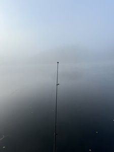IMG_6824.jpeg