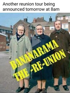 Reunion Bananarama.jpg