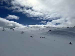 IMG_5152.jpeg