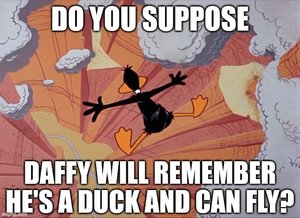 Daffy.jpg