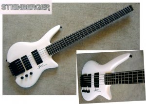 Steinberger1.jpeg