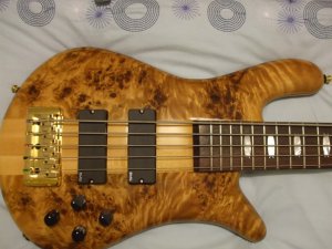 Spector EuroLX 02.jpg